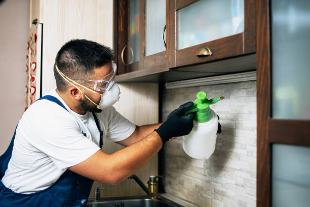 Best Termite Control Services  in Amherst, VA