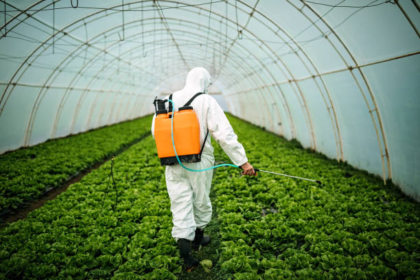 Best Local Pest Control Services  in Amherst, VA