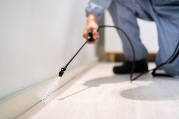 Best Pest Removal Services  in Amherst, VA