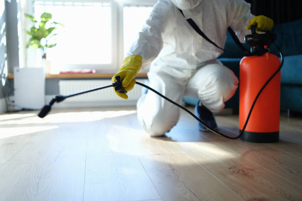 Best Flea Control Services  in Amherst, VA