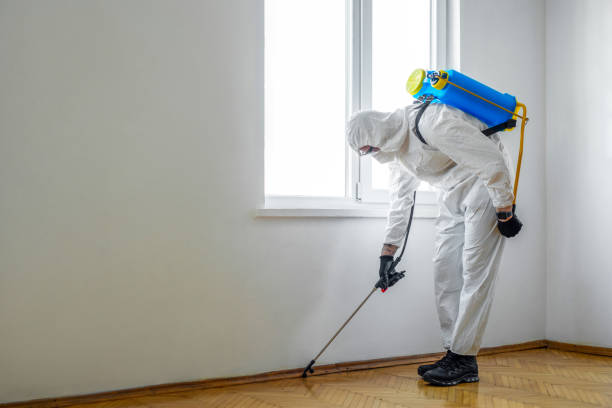 Best Residential Pest Control  in Amherst, VA