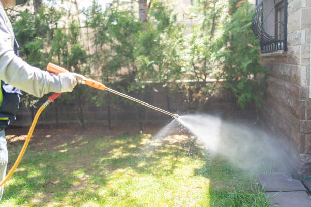Best Wasp Removal Services  in Amherst, VA