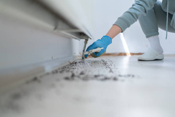 Best Best Pest Control Companies  in Amherst, VA