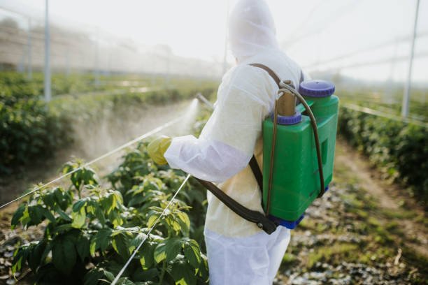  Amherst, VA Pest Control Pros